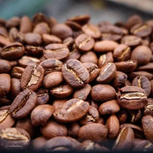Cómo el procesamiento del café transforma su carácter