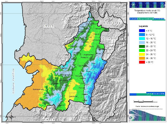 Microclima del Valle del Cauca: cómo impacta tu taza