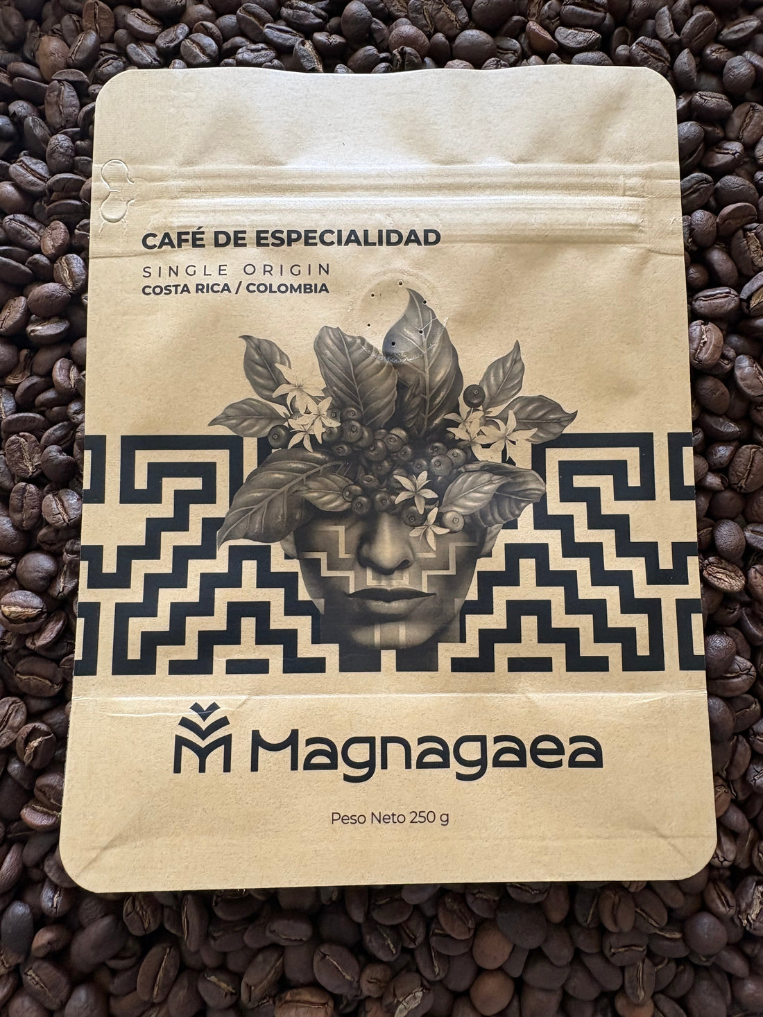 Empaques sostenibles para café: impacto real en aroma y frescura