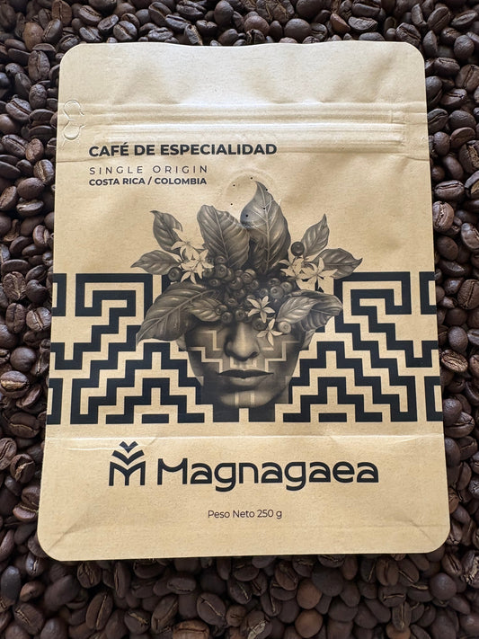 Empaques sostenibles para café: impacto real en aroma y frescura