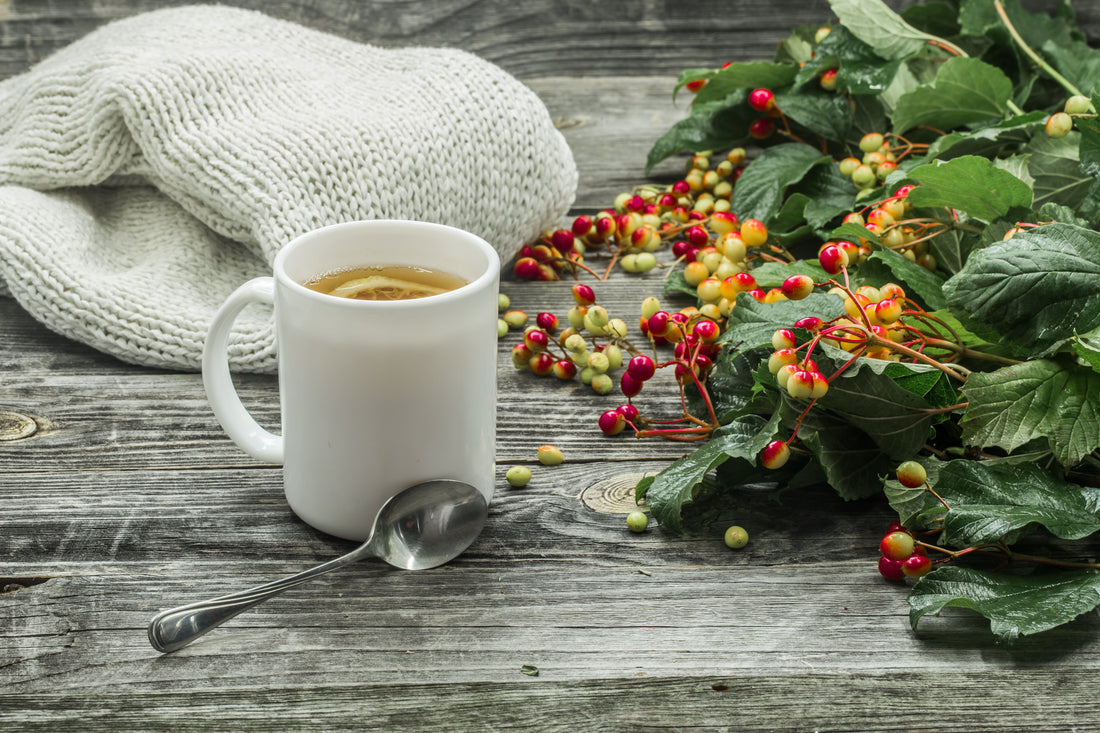 Taza de café caliente sobre mesa de madera rodeada de plantas en un ambiente tranquilo