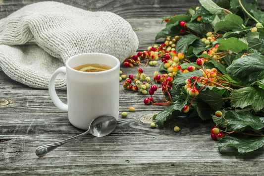 Taza de café caliente sobre mesa de madera rodeada de plantas en un ambiente tranquilo