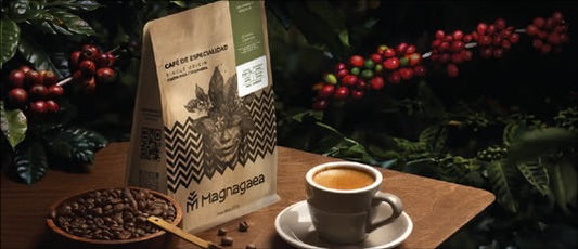 Empaques de café Magnagaea con códigos de trazabilidad y fechas de tueste