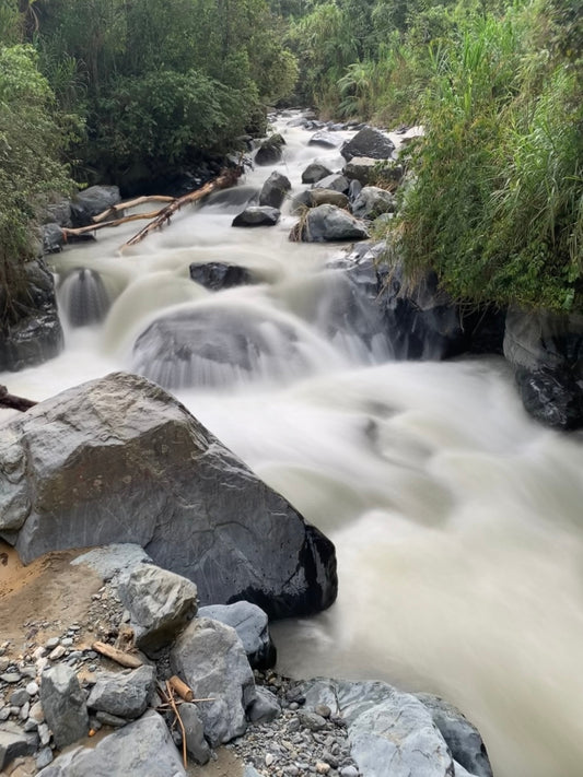 Quebrada cristalina en la finca Magnagaea rodeada de cafetales y bosque nativo.