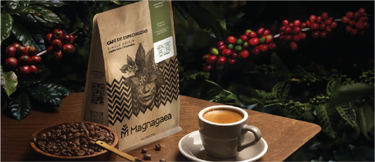 Bogotá brilla en el top mundial: la cafetería colombiana que cautiva